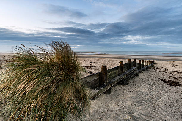 istock Beautiful beach coastal low tide landscape image at sunrise 629053152