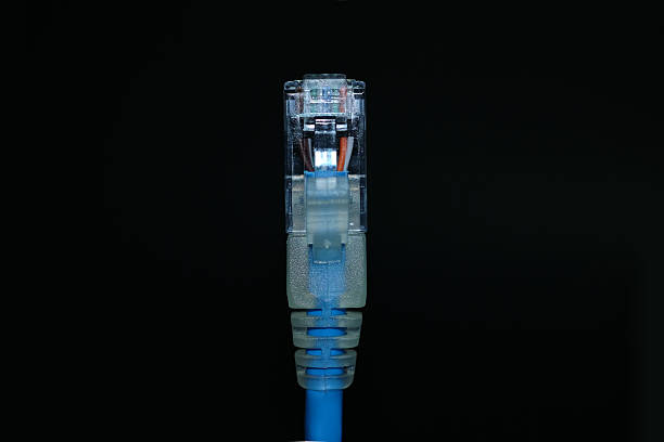 rj45 kabel wtykowy lub sieciowy. niebieski kolor. - computer cable nobody rj45 network connection plug zdjęcia i obrazy z banku zdjęć