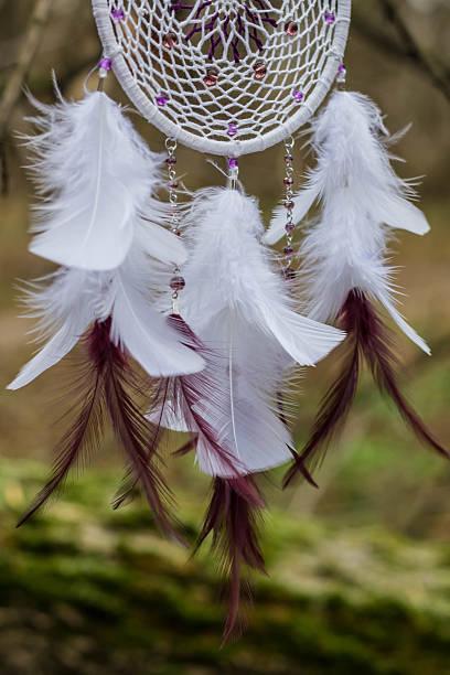 istock Dreamcatcher made of feathers, leather, beads, and ropes 629063204