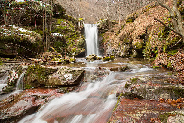 istock In the middle of deep forest 629064162