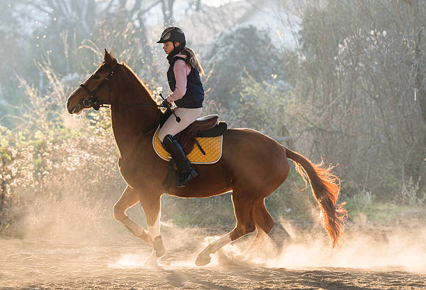 istock Young girl riding a horse 629070504