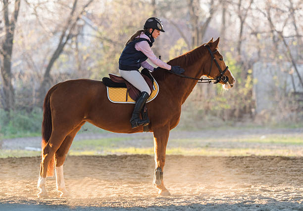 istock Young girl riding a horse 629071282