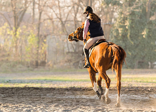 istock Young girl riding a horse 629072024