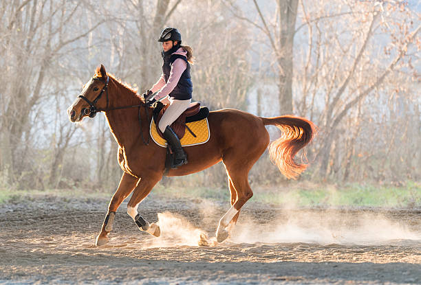 istock Young girl riding a horse 629072946