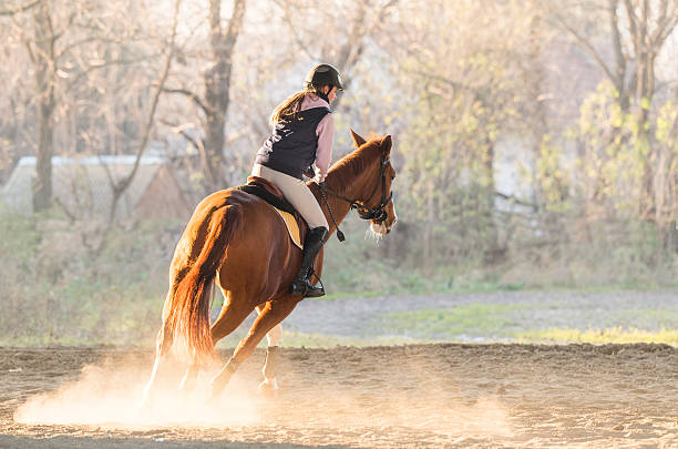 istock Young girl riding a horse 629073216