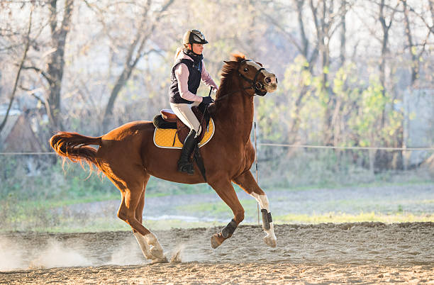 istock Young girl riding a horse 629073538