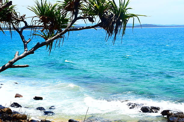 istock NOOSA SEASCAPES 629074466