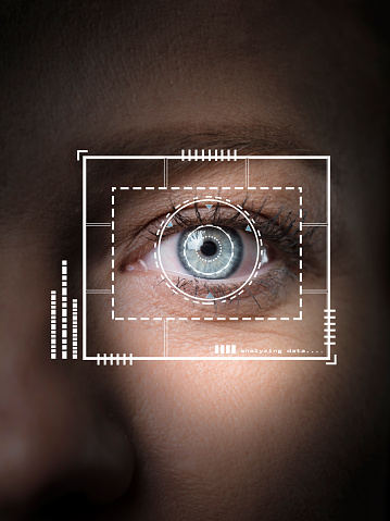 retina biometric scan