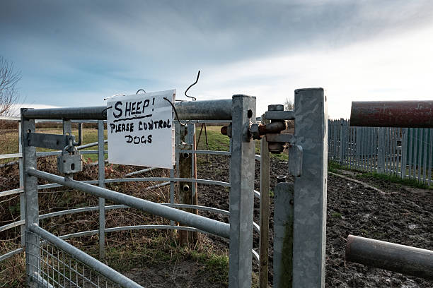 Make Shift Ranch Gate 60+ Beware With The Dog Thief Stock Photos, Pictures & Royalty-Free ...