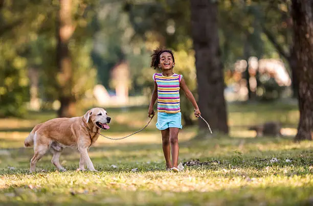 Photo of Smiling African American girl walking her dog on a leash.