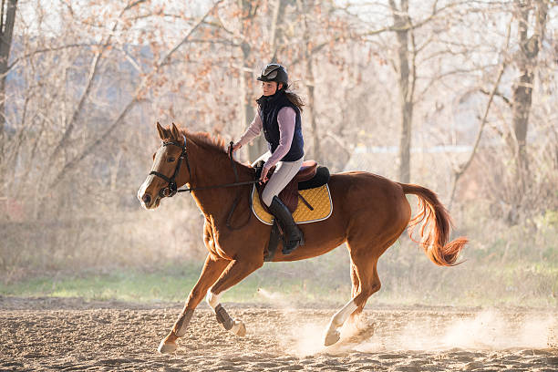 istock Young girl riding a horse 629077130