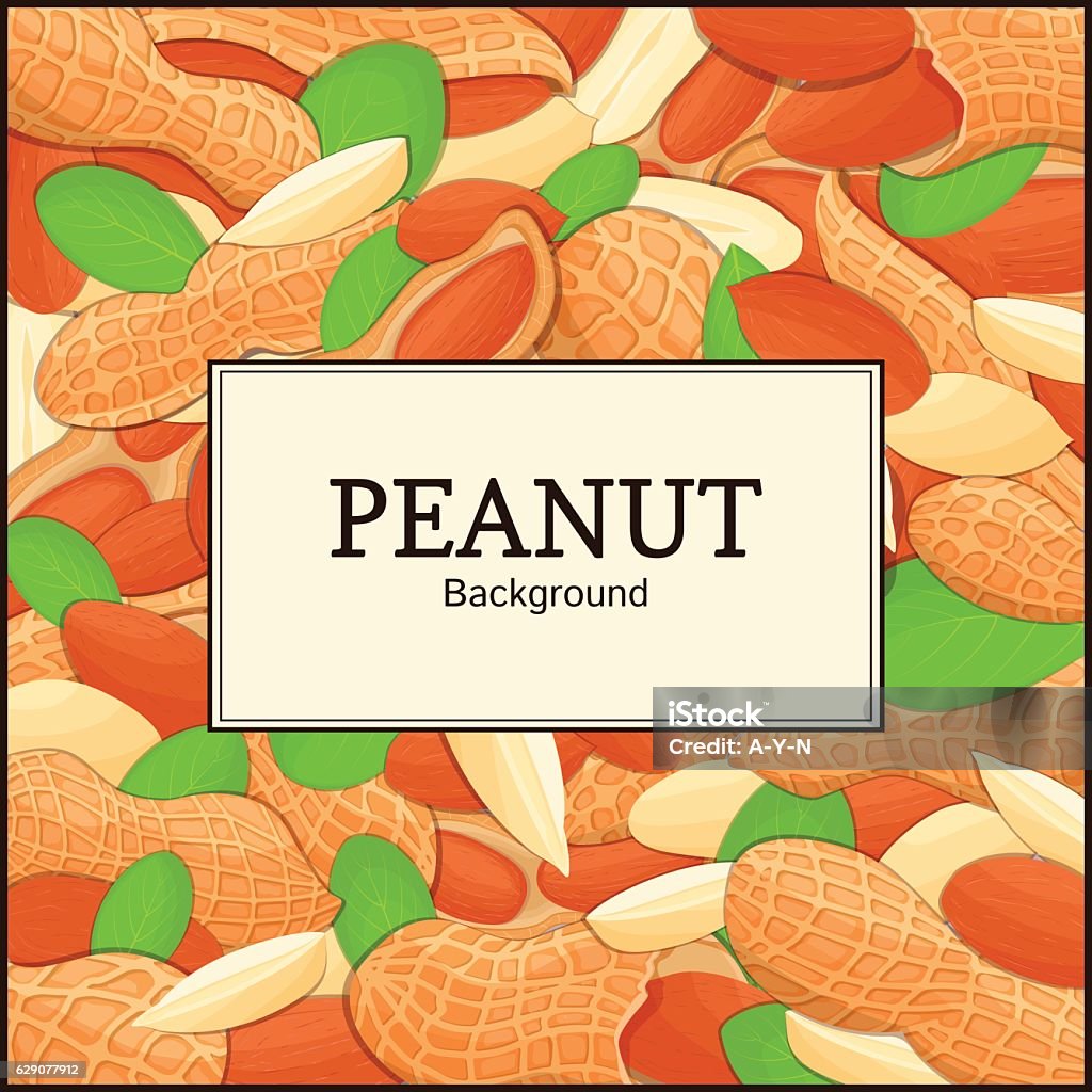 Peanut Shell Frame The Rectangular Frame On Peanut Background Vector Card Illustration ...