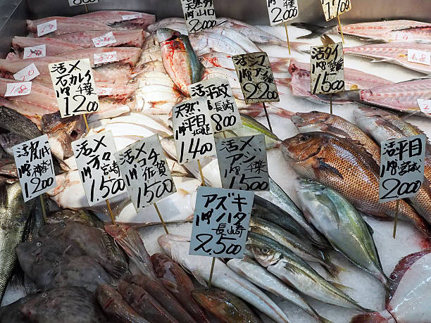 istock Fish Market In Japan 629078446