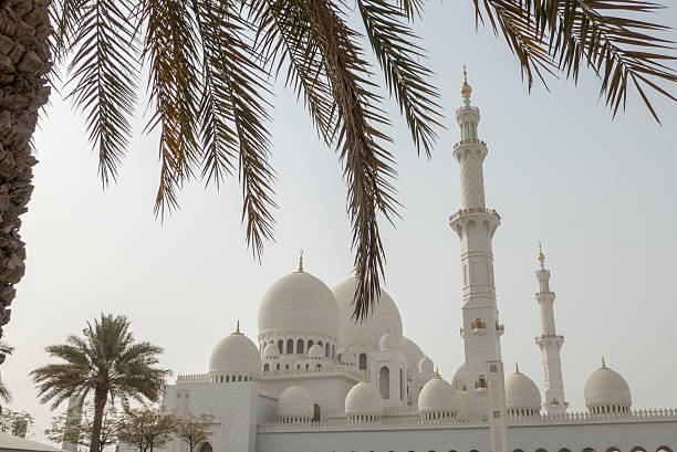 istock palm tree outside the grand mosque abu dhabi 629078810