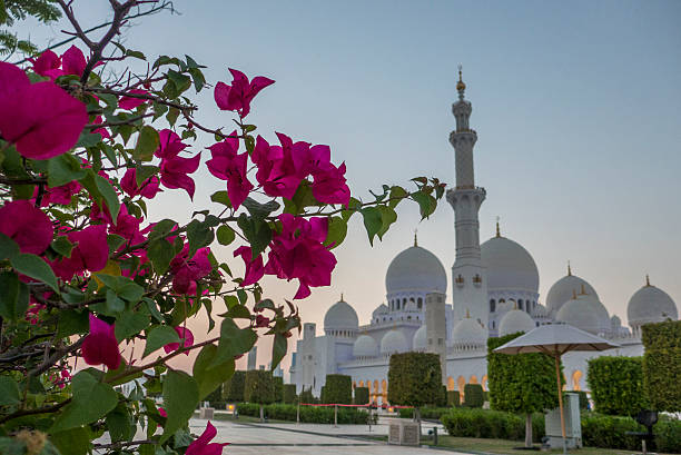 istock flowers outside the grand mosque, abu dhabi, UAE 629079984