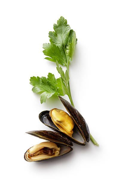 istock Seafood: Mussels and Parsley Isolated on White Background 629080040