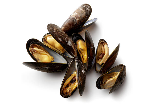 frutti di mare: cozze isolate su sfondo bianco - clam foto e immagini stock
