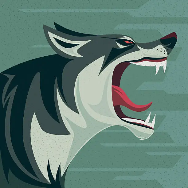Vector illustration of angry wolf roaring