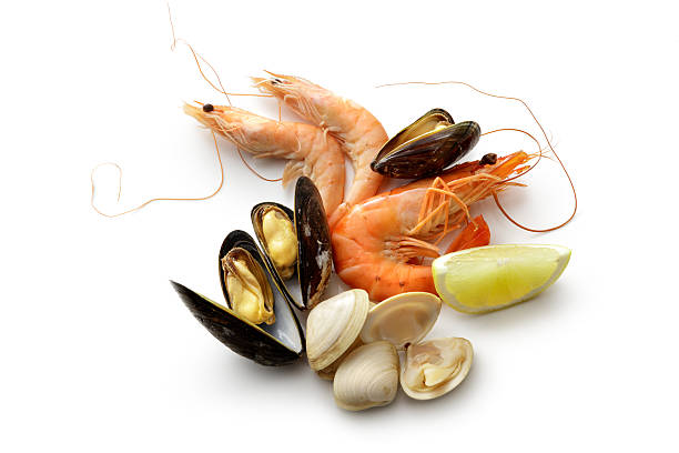 frutti di mare: gamberi, gamberi, cozze e vongole isolati su sfondo bianco - prepared shellfish foto e immagini stock