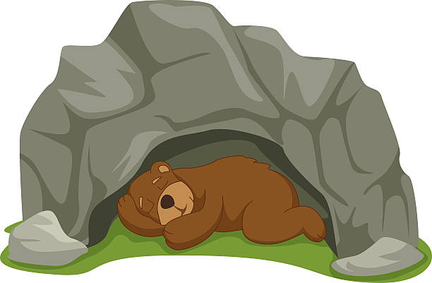 вектор иллюстрация мультфильм спящий медведь в пещере - cave bear stock illustrations