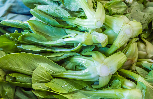 Bok Choy is a popular vegetable, it has a light sweet flavor and crisp texture. (also called pak choi)