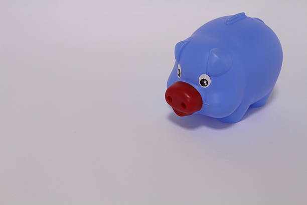 istock piggy bank with money 629112836