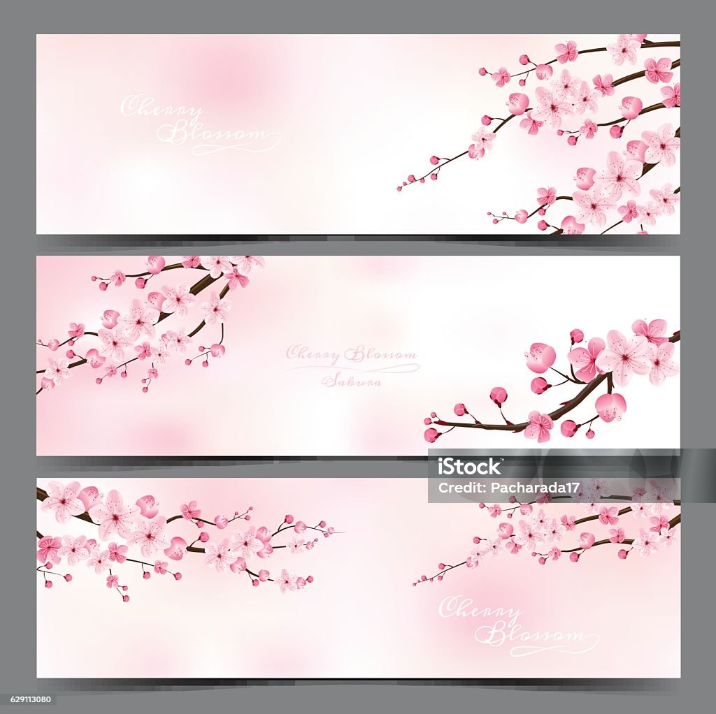 cherry blossom realistic vector, sakura. cherry blossom realistic vector, sakura, japan, blur background. Cherry Blossom stock vector