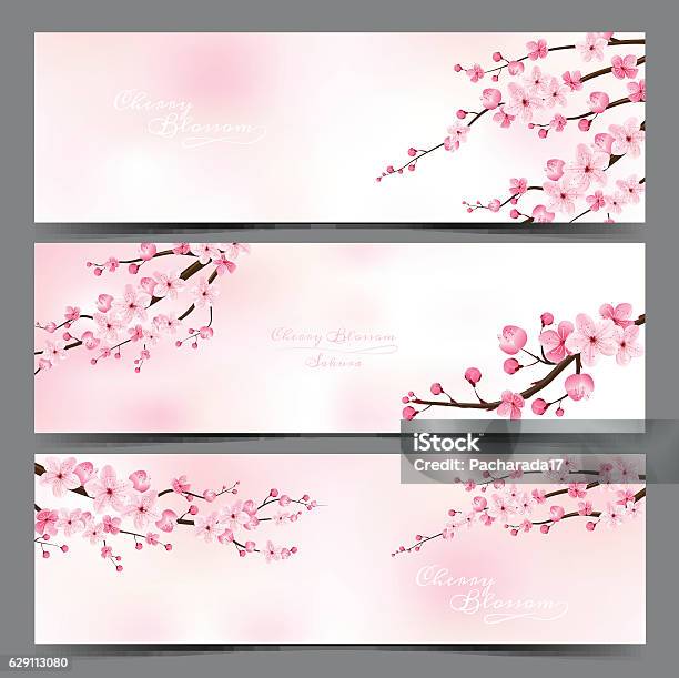 Cherry Blossom Realistic Vector Sakura Stock Illustration - Download Image Now - Cherry Blossom, Flower, Banner - Sign