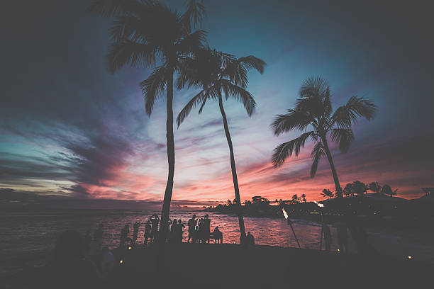 DSLR picture of a Tropical Beach Sunset in Kauai, Hawaii. The sky is coloured with vibrant colours and silhouette of people looking at the sunset and palm trees.