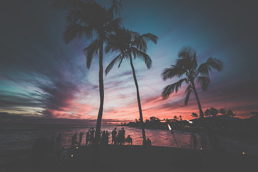 DSLR picture of a Tropical Beach Sunset in Kauai, Hawaii. The sky is coloured with vibrant colours and silhouette of people looking at the sunset and palm trees.
