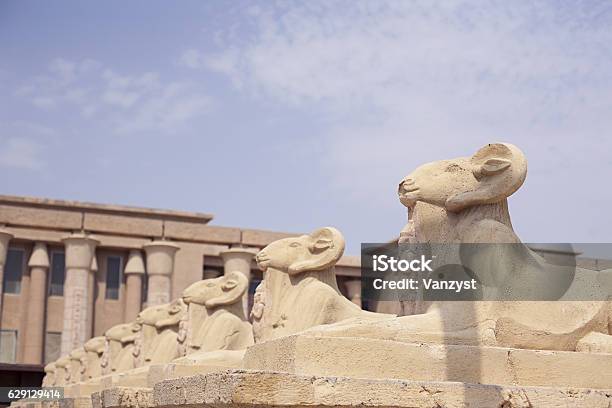 Avenue Of The Ramheaded Sphinxes Stock Photo - Download Image Now - Africa, Alley, Amon