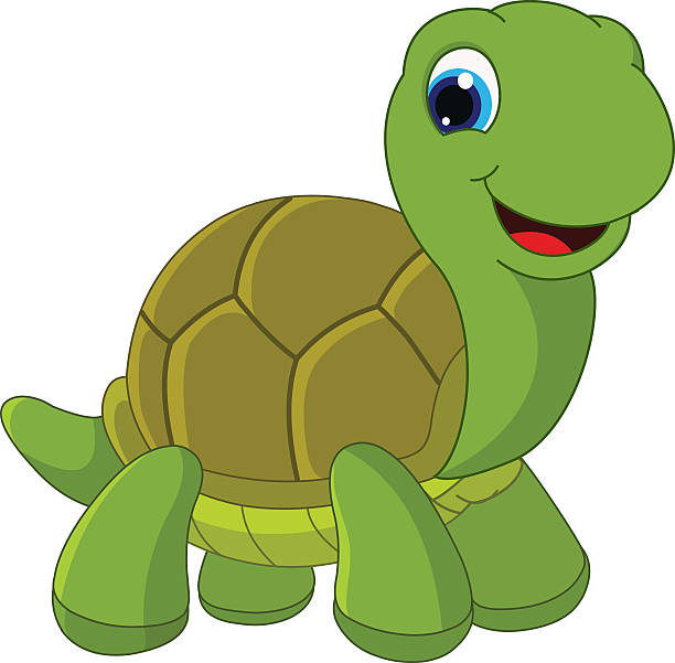 Vector Illustration Of Cartoon Turtle向量圖形及更多海龜圖片- 海龜, 卡通, 龜- iStock