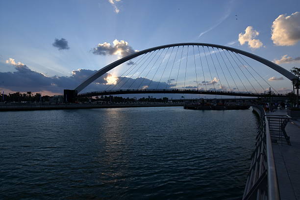 istock Dubai Skyline at night from new Dubai Canal, U.A.E 629142472