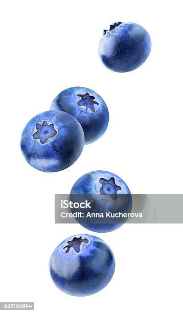 Isolated Blueberries Flying In The Air Stock Photo - Download Image Now - Blueberry, Falling, Cut Out