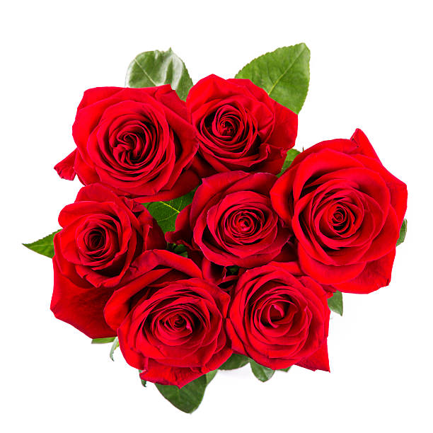 red roses bouqet isolated on white background