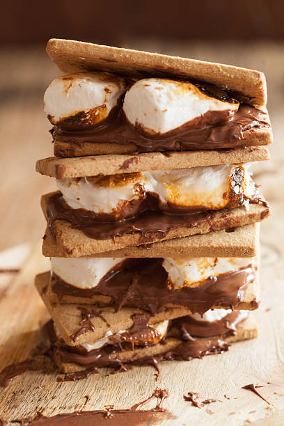istock homemade marshmallow s'mores with chocolate on crackers 629163004