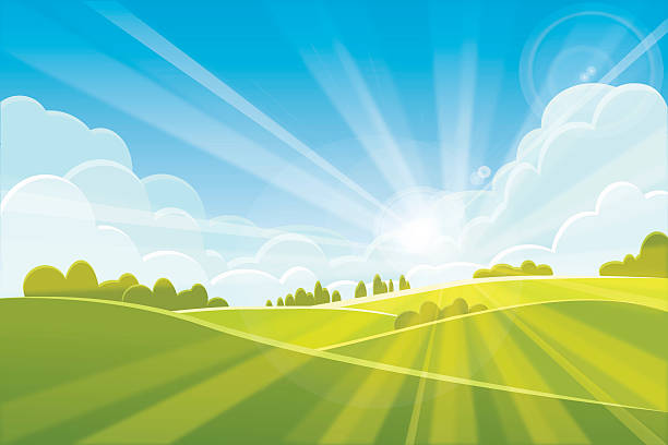 illustrations, cliparts, dessins animés et icônes de paysage de lever du soleil d’été ou de printemps - illustration vectorielle - sunlight summer grass landscaped