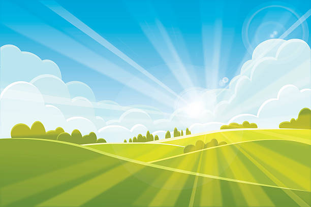 일출 여름 또는 봄 풍경 - 벡터 일러스트 - backgrounds sunbeam horizontal spring stock illustrations