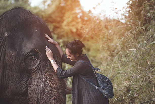 istock The smiling girl embraces an elephant 629169394