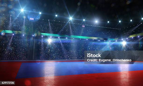 Foto de Arena De Combate Limpa Em Luzes Brilhantes e mais fotos de stock de Ginástica - Ginástica, Estádio, Taekwondo
