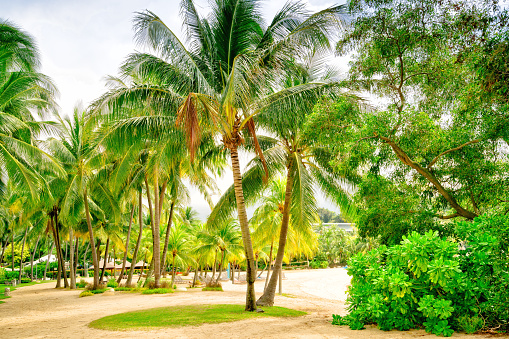 The beaches of Sentosa island in Singapore