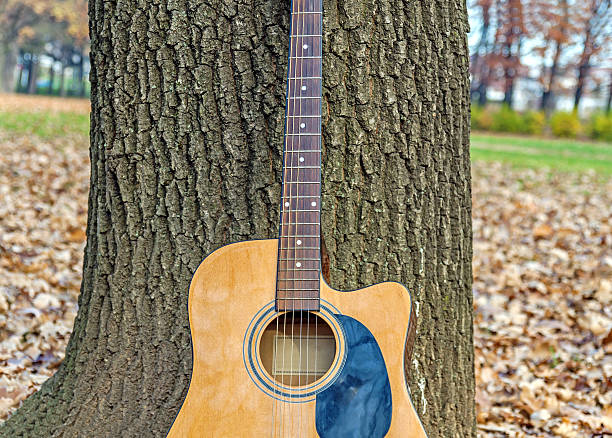 istock Guitar leaning on tree in autumn park on claudy day 629172796