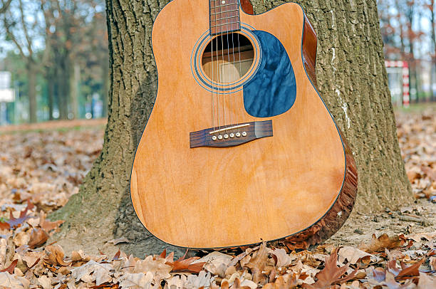 istock Guitar leaning on tree in autumn park on cloudy day 629183432
