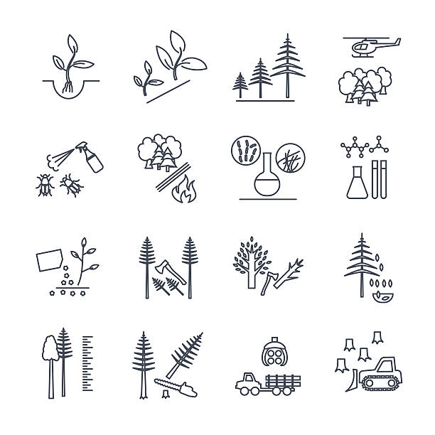 ilustrações de stock, clip art, desenhos animados e ícones de set of thin line icons forestry and silviculture - the game of operation