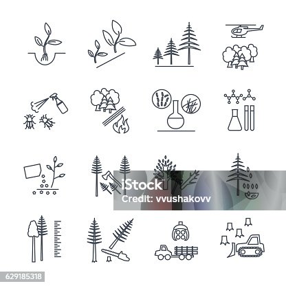 istock set of thin line icons forestry and silviculture 629185318