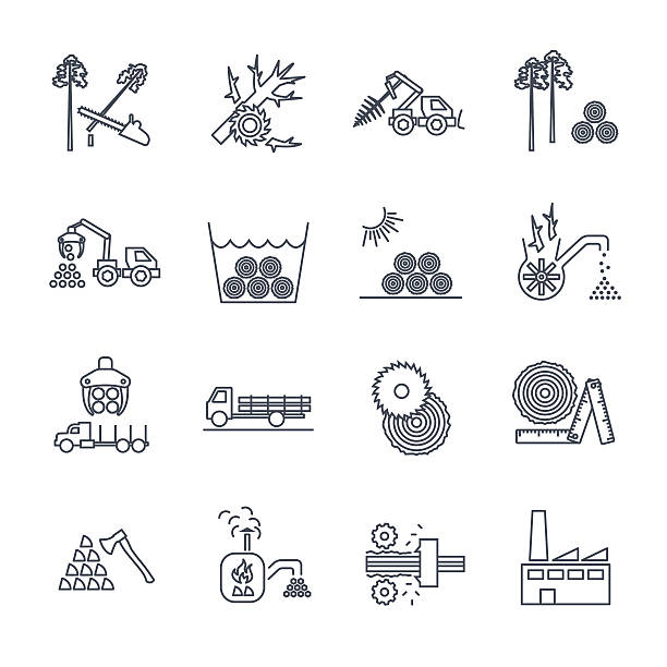ilustrações de stock, clip art, desenhos animados e ícones de set of thin line icons logging production process - the game of operation
