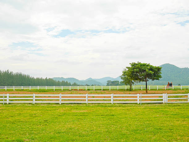 cenário de fazenda e montanha - farm fence - fotografias e filmes do acervo