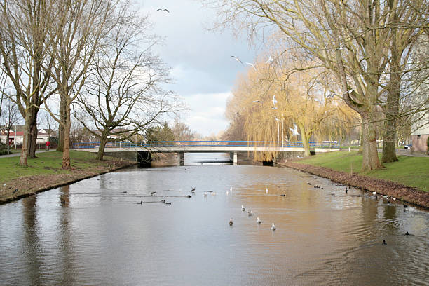 istock Canal in Holland 629185968
