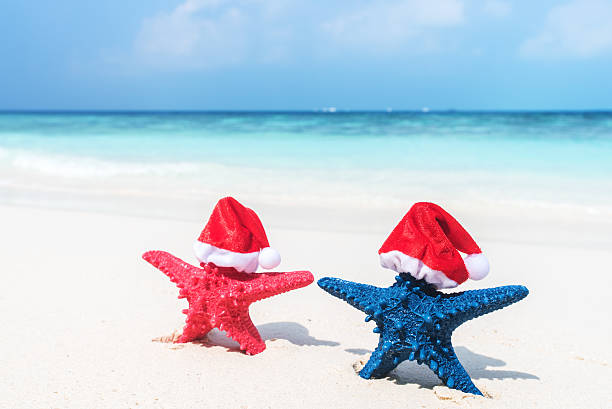 istock Tropical beach christmas holidays concept 629187526