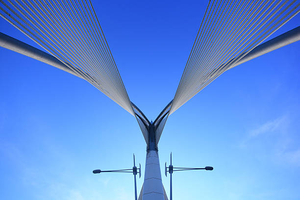 istock Modern bridge architecture at Putrajaya 629189478